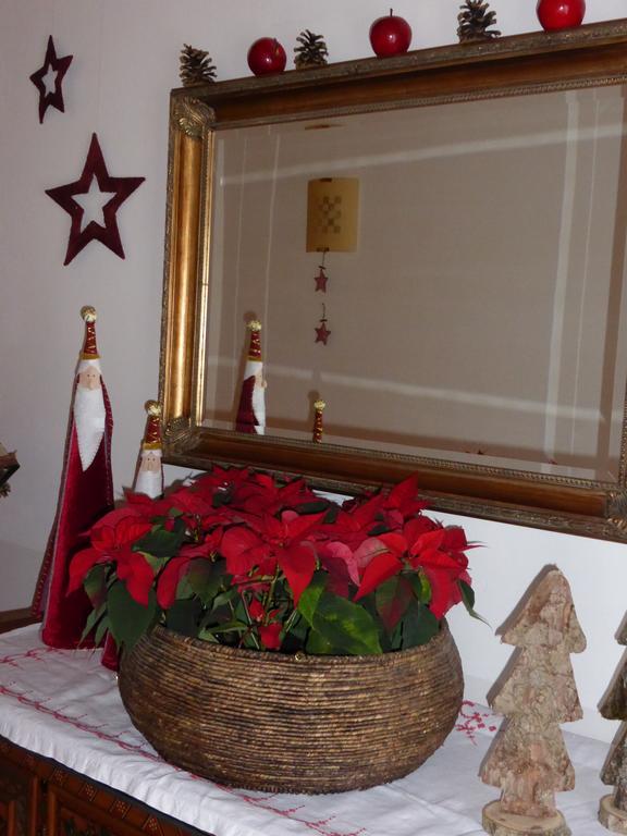 Gaestehaus Larch Alpbach Dış mekan fotoğraf